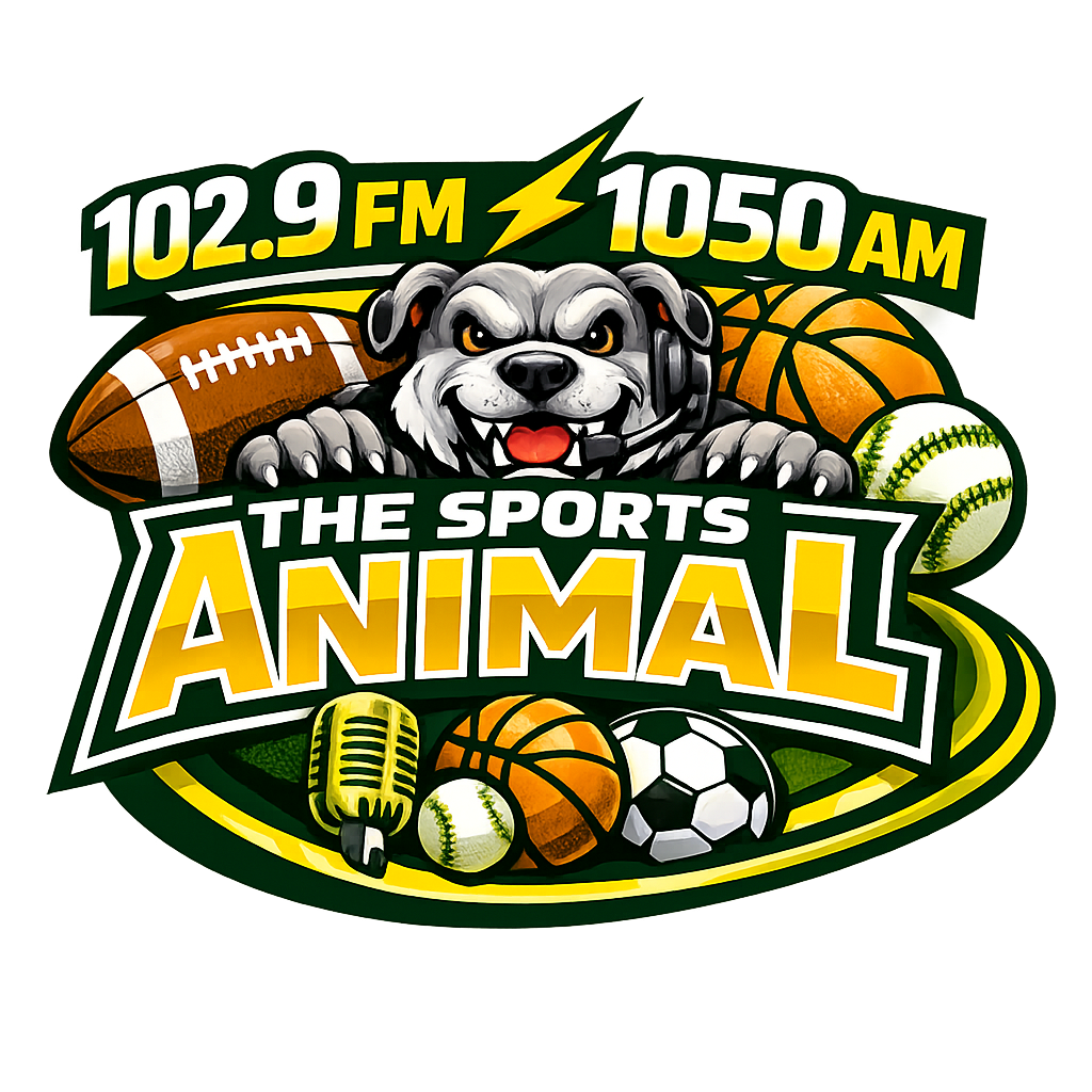 1029 Sports Animal sports animal logo